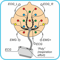 Electrode system ES-EEG-13-3