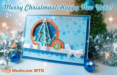 Merry Christmas and Happy New Year!